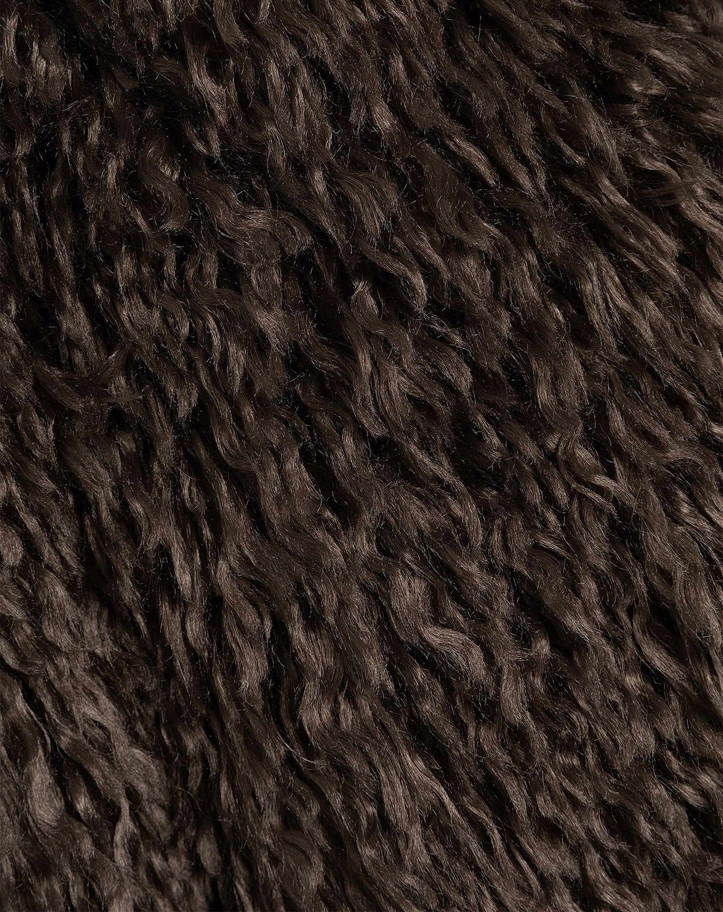 HAIRY COAT BRUIN