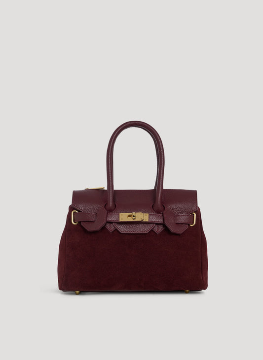 Borsa Elizabeth Micro in Camoscio e Pelle Borgogna
