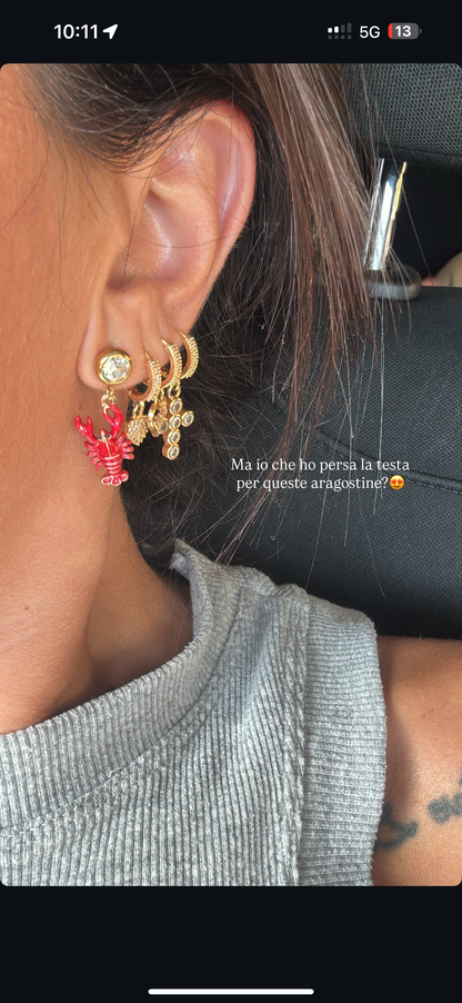 Aragostine federica 🦞