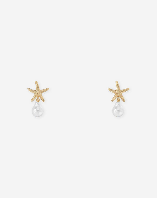 SMALL SEASTAR EARRINGS