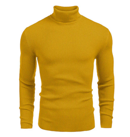 Jersey de algodón de cuello alto